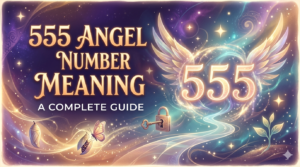 Read more about the article 555 Angel Number Meaning: A Complete Guide